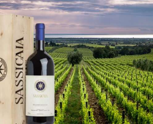 che vino è il sassicaia - wine supertuscan