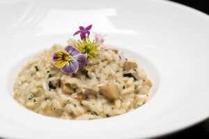 risotto and pinot grigio wine pair
